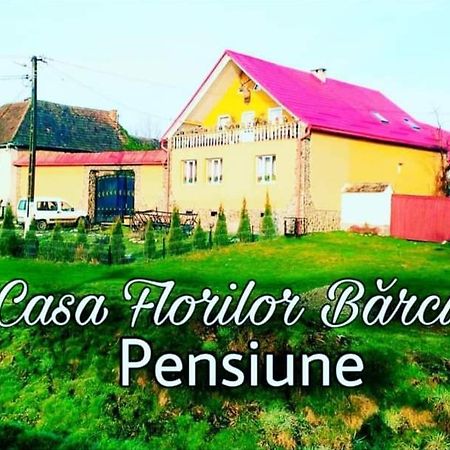 Casa Florilor Barcut 아파트 외부 사진