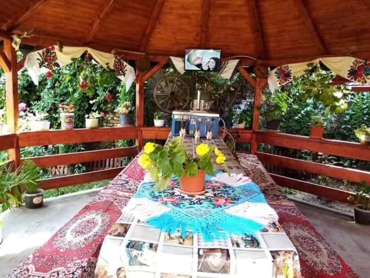 Casa Florilor Barcut 아파트 외부 사진