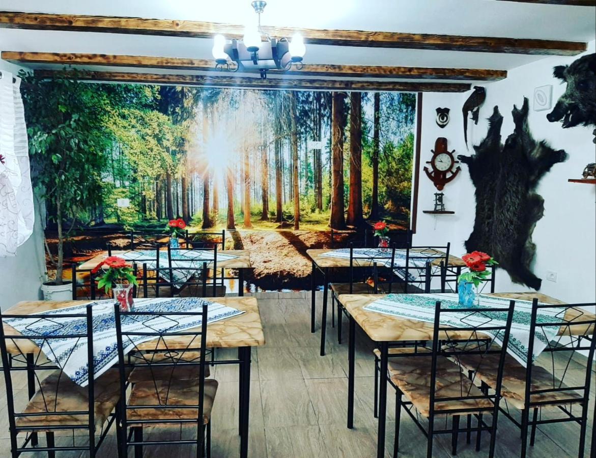 Casa Florilor Barcut 아파트 외부 사진
