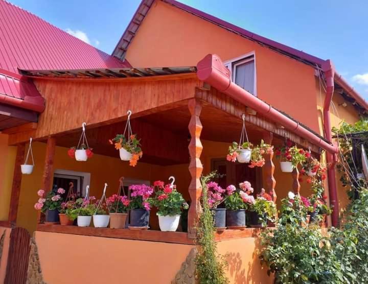 Casa Florilor Barcut 아파트 외부 사진