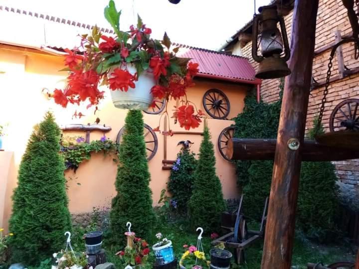 Casa Florilor Barcut 아파트 외부 사진