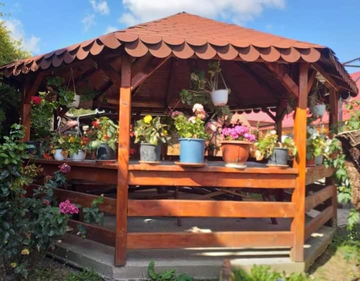 Casa Florilor Barcut 아파트 외부 사진