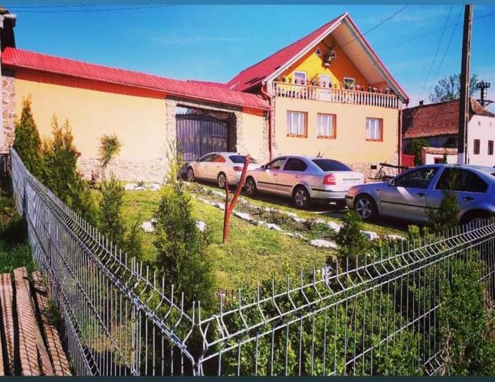 Casa Florilor Barcut 아파트 외부 사진