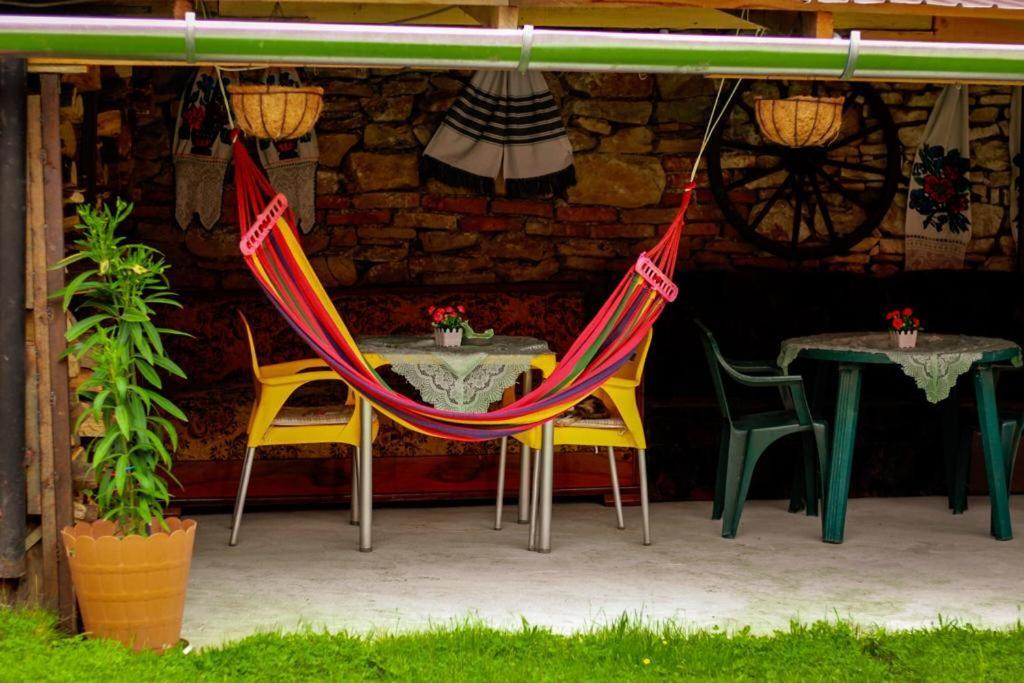 Casa Florilor Barcut 아파트 외부 사진