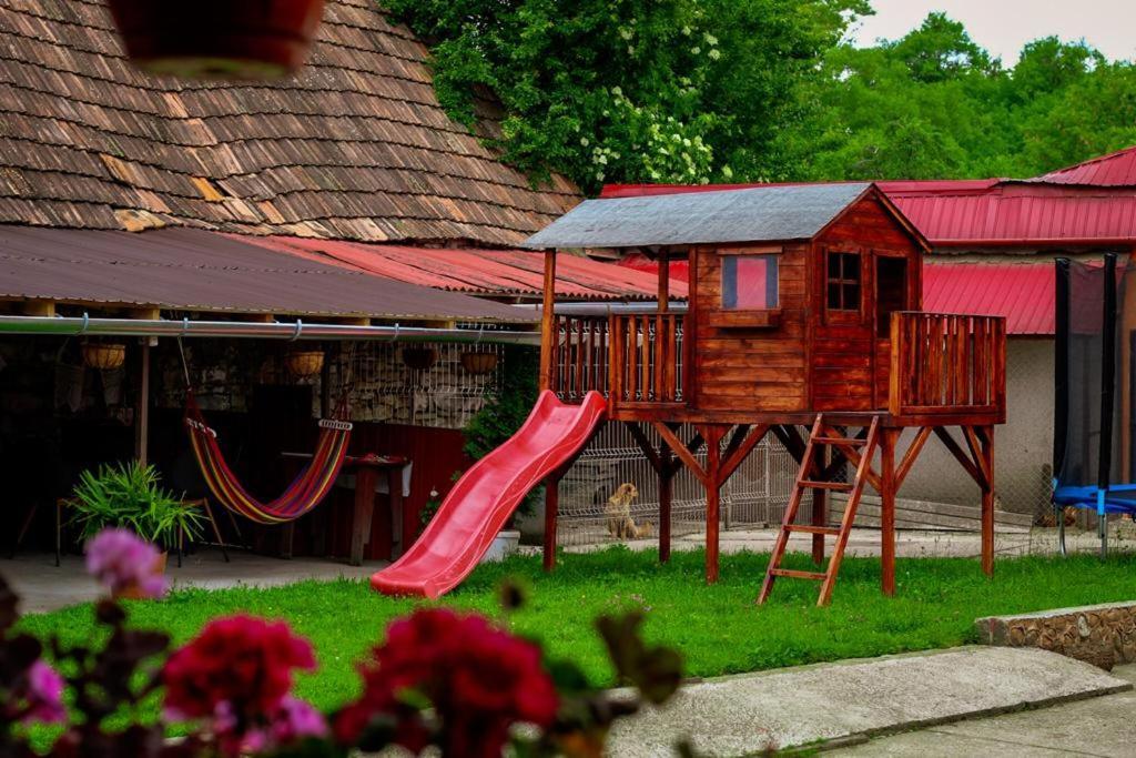 Casa Florilor Barcut 아파트 외부 사진