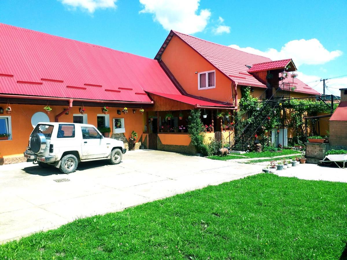 Casa Florilor Barcut 아파트 외부 사진