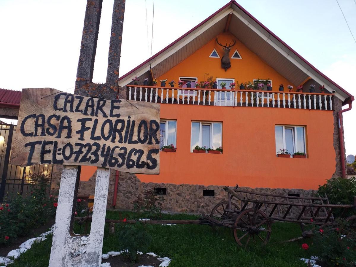 Casa Florilor Barcut 아파트 외부 사진