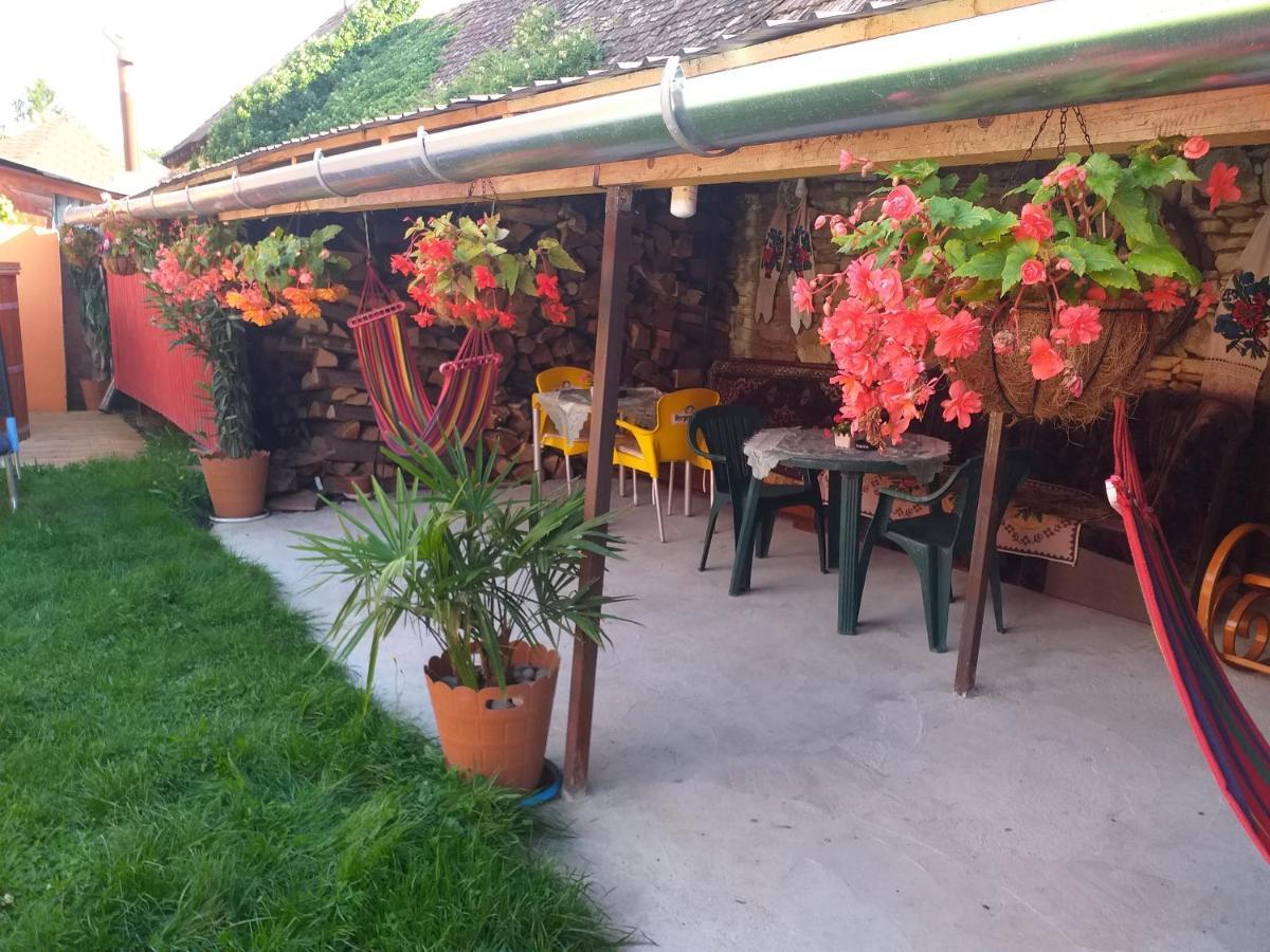 Casa Florilor Barcut 아파트 외부 사진