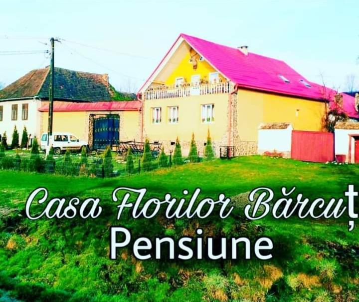 Casa Florilor Barcut 아파트 외부 사진