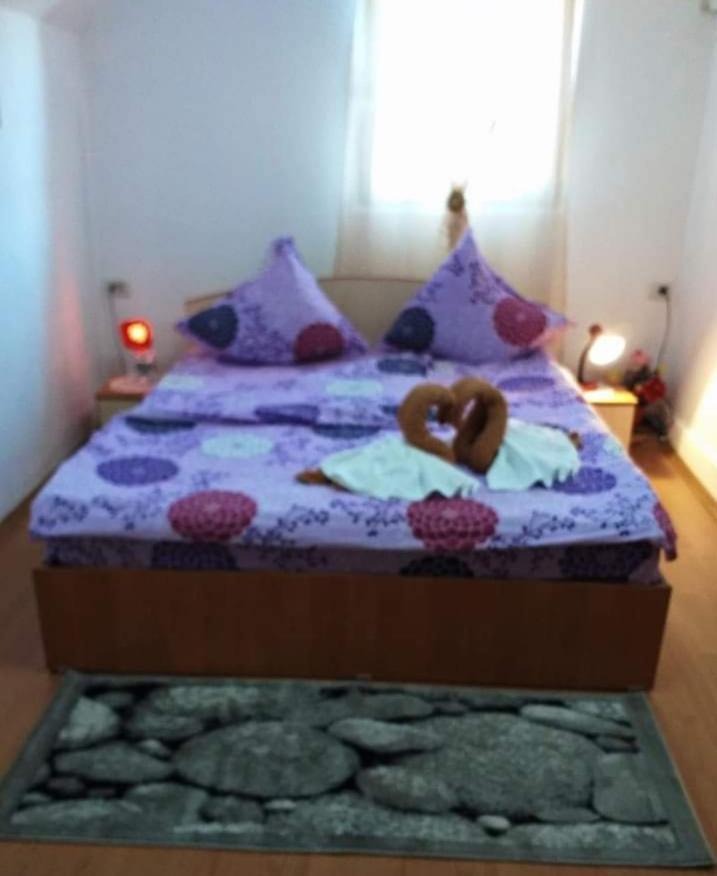 Casa Florilor Barcut 아파트 외부 사진