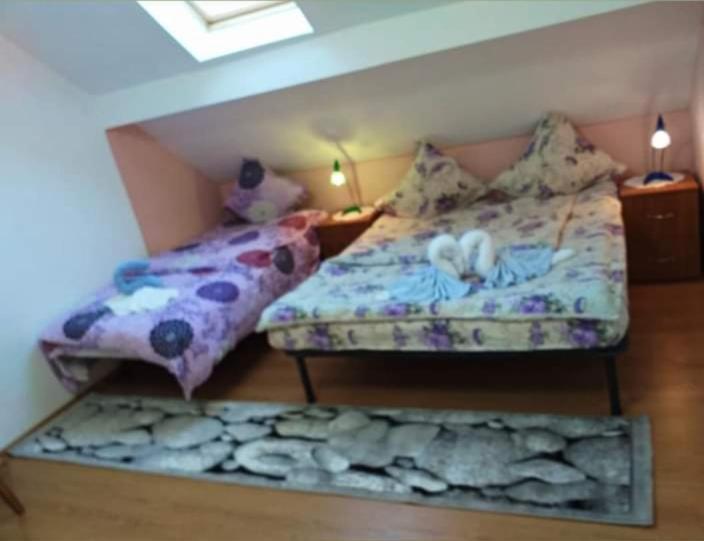 Casa Florilor Barcut 아파트 외부 사진