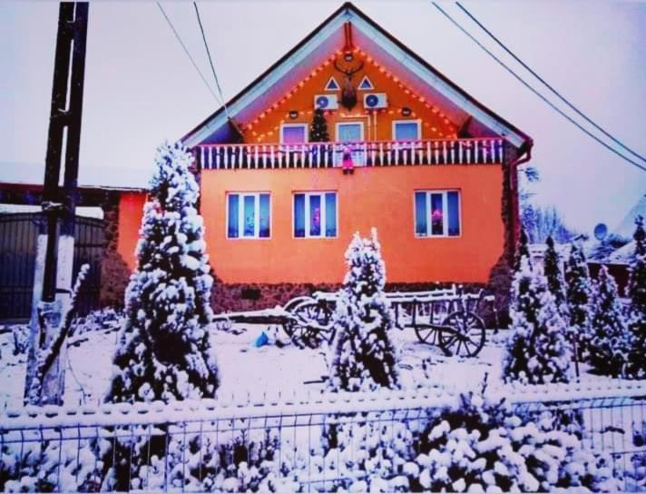 Casa Florilor Barcut 아파트 외부 사진