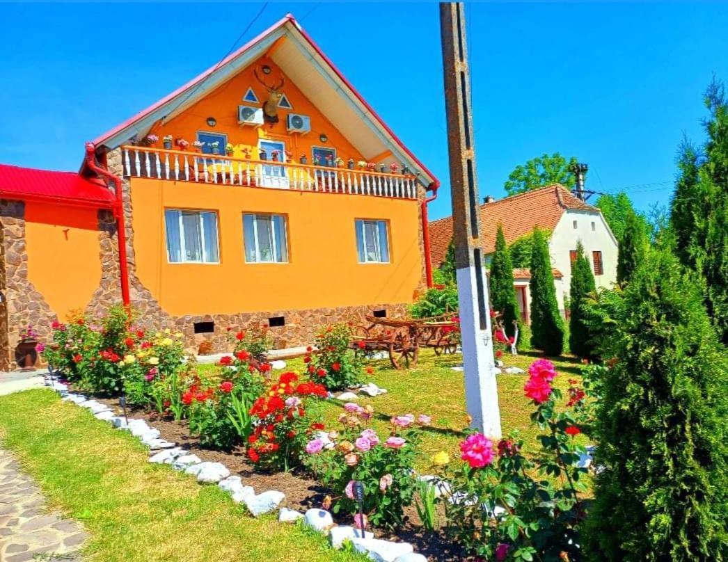 Casa Florilor Barcut 아파트 외부 사진