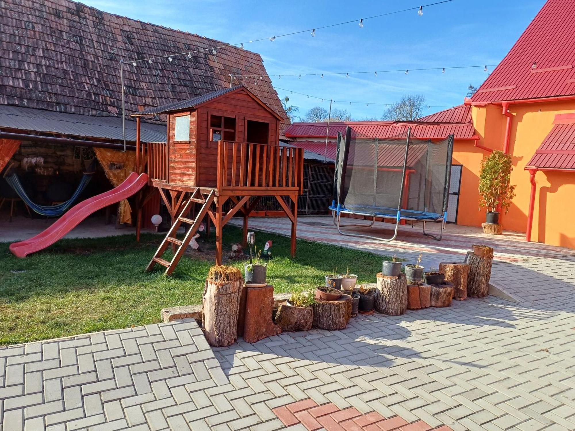 Casa Florilor Barcut 아파트 외부 사진